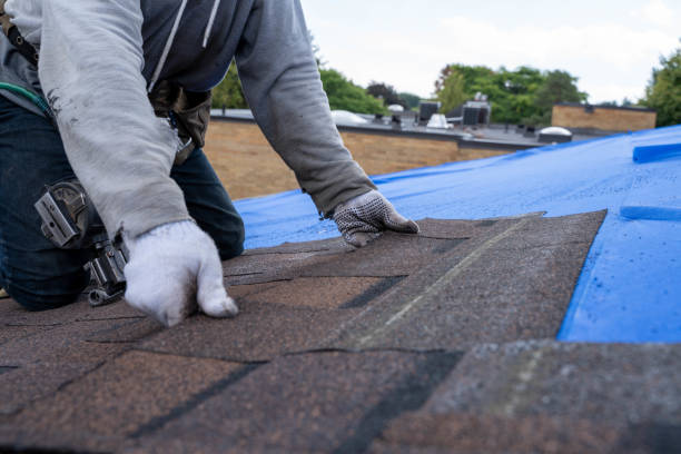 Best Roof Maintenance Services  in Pleasant Run Farm, OH